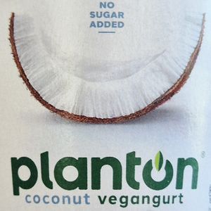 Planton Coconut Vegangurt Natural