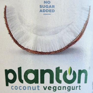 Planton Coconut Vegangurt Natural